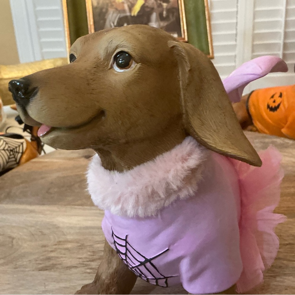 Adorable Dachshund Bat figure costume Pink Tutu & Wings, ballet or angel?🤔😀 - Picture 11 of 12